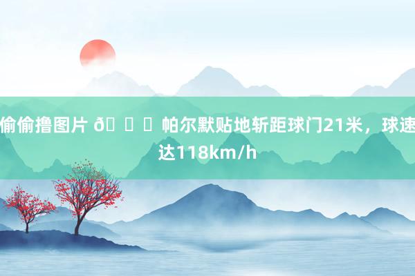 偷偷撸图片 ?帕尔默贴地斩距球门21米，球速达118km/h