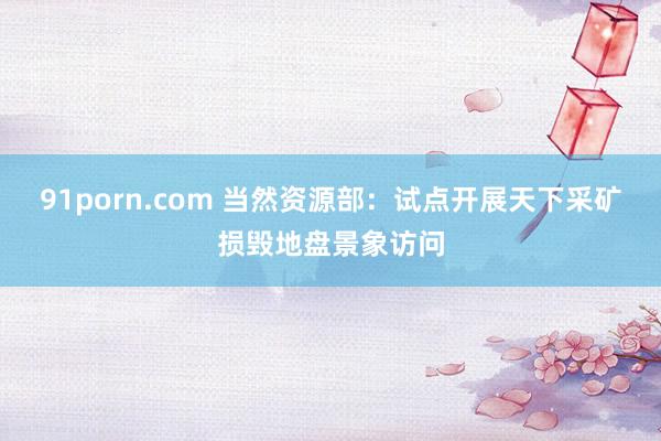 91porn.com 当然资源部：试点开展天下采矿损毁地盘景象访问