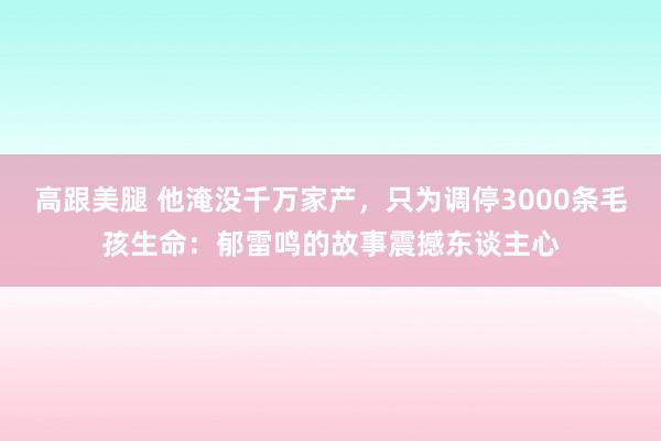 高跟美腿 他淹没千万家产，只为调停3000条毛孩生命：郁雷鸣的故事震撼东谈主心