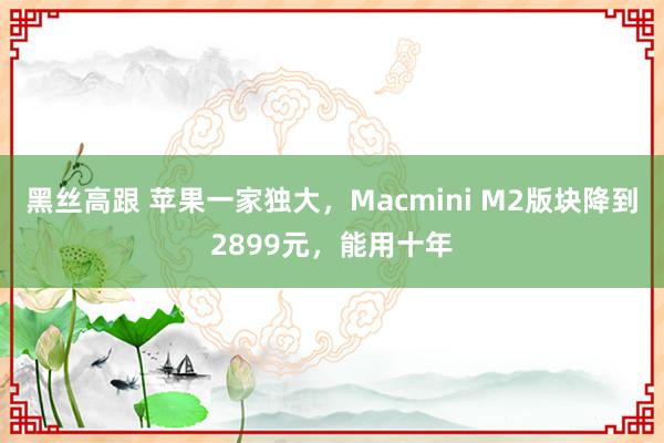 黑丝高跟 苹果一家独大，Macmini M2版块降到2899元，能用十年