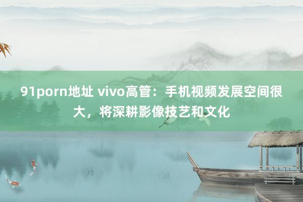 91porn地址 vivo高管：手机视频发展空间很大，将深耕影像技艺和文化