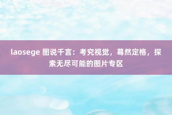 laosege 图说千言：考究视觉，蓦然定格，探索无尽可能的图片专区