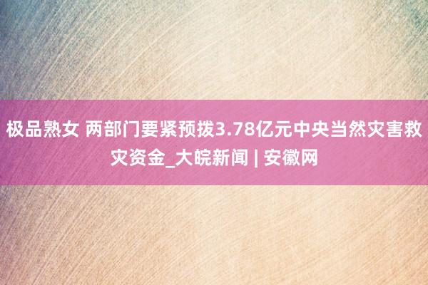 极品熟女 两部门要紧预拨3.78亿元中央当然灾害救灾资金_大皖新闻 | 安徽网