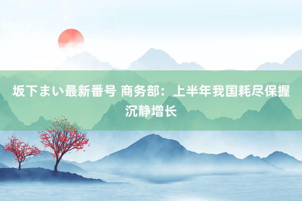 坂下まい最新番号 商务部：上半年我国耗尽保握沉静增长