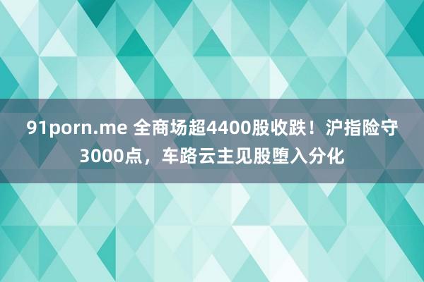 91porn.me 全商场超4400股收跌！沪指险守3000点，车路云主见股堕入分化