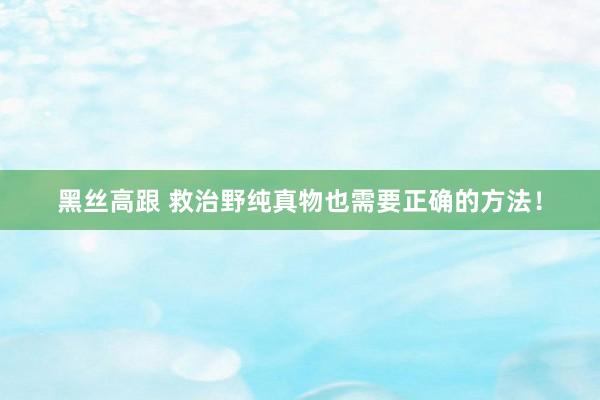 黑丝高跟 救治野纯真物也需要正确的方法！