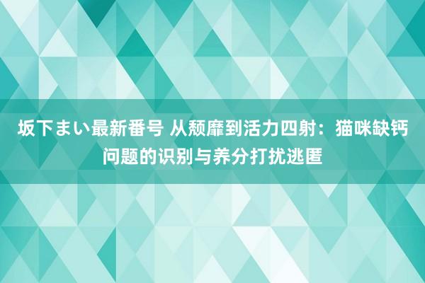 坂下まい最新番号 从颓靡到活力四射：猫咪缺钙问题的识别与养分打扰逃匿