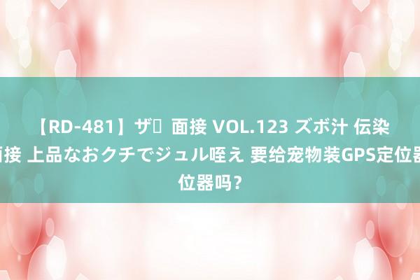 【RD-481】ザ・面接 VOL.123 ズボ汁 伝染 逆面接 上品なおクチでジュル咥え 要给宠物装GPS定位器吗？