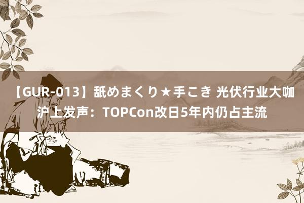 【GUR-013】舐めまくり★手こき 光伏行业大咖沪上发声：TOPCon改日5年内仍占主流