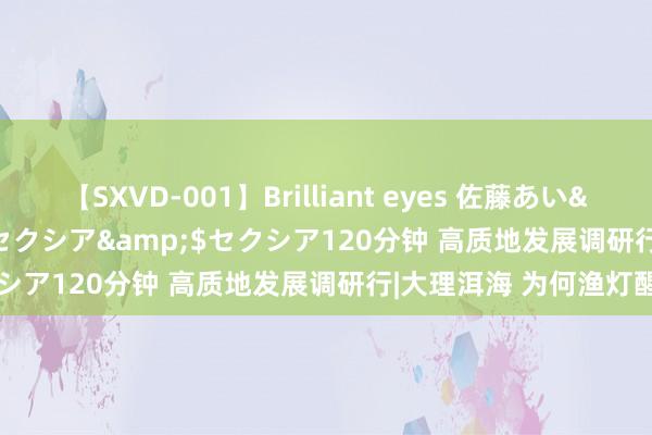 【SXVD-001】Brilliant eyes 佐藤あい</a>2006-11-01セクシア&$セクシア120分钟 高质地发展调研行|大理洱海 为何渔灯醒目