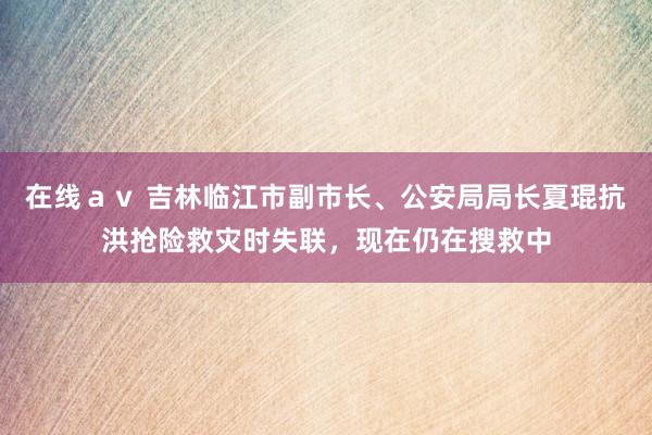 在线ａｖ 吉林临江市副市长、公安局局长夏琨抗洪抢险救灾时失联，现在仍在搜救中