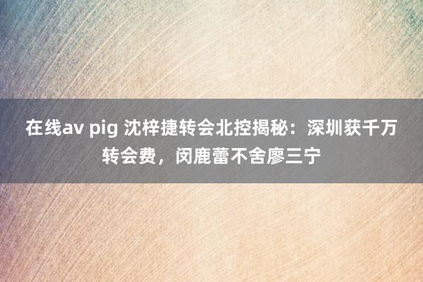 在线av pig 沈梓捷转会北控揭秘：深圳获千万转会费，闵鹿蕾不舍廖三宁