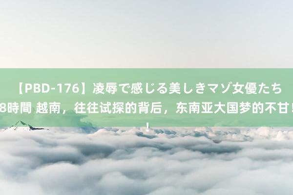 【PBD-176】凌辱で感じる美しきマゾ女優たち8時間 越南，往往试探的背后，东南亚大国梦的不甘！