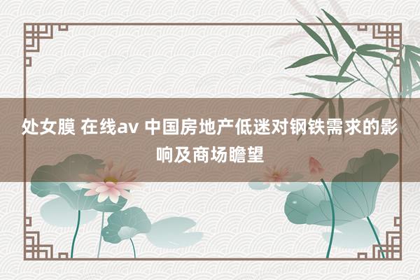 处女膜 在线av 中国房地产低迷对钢铁需求的影响及商场瞻望