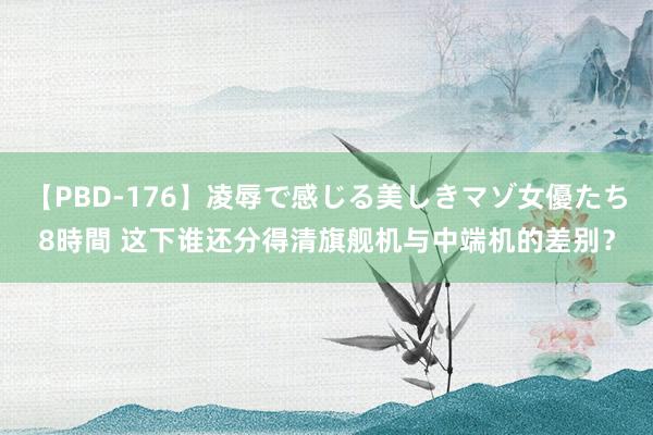 【PBD-176】凌辱で感じる美しきマゾ女優たち8時間 这下谁还分得清旗舰机与中端机的差别？