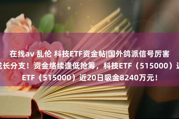 在线av 乱伦 科技ETF资金帖|国外鸽派信号厉害，机构提倡脸色科技成长分支！资金络续逢低抢筹，科技ETF（515000）近20日吸金8240万元！