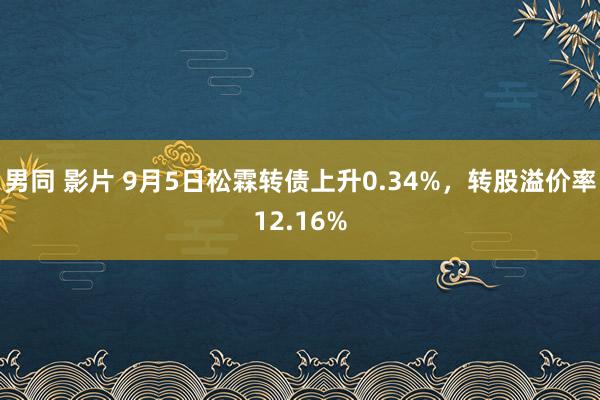 男同 影片 9月5日松霖转债上升0.34%，转股溢价率12.16%