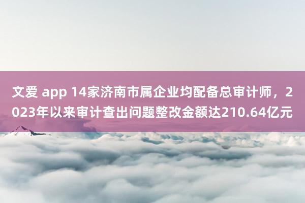 文爱 app 14家济南市属企业均配备总审计师，2023年以来审计查出问题整改金额达210.64亿元