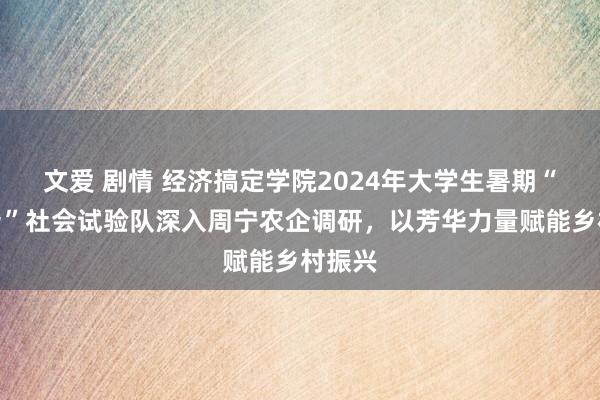 文爱 剧情 经济搞定学院2024年大学生暑期“三下乡”社会试验队深入周宁农企调研，以芳华力量赋能乡村振兴