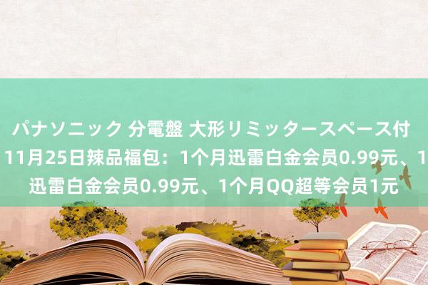 パナソニック 分電盤 大形リミッタースペース付 露出・半埋込両用形 11月25日辣品福包：1个月迅雷白金会员0.99元、1个月QQ超等会员1元